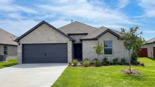 New construction Single-Family house 766 Hart Leaf Ln, Lavon, TX 75166 plan Brookshire - image
