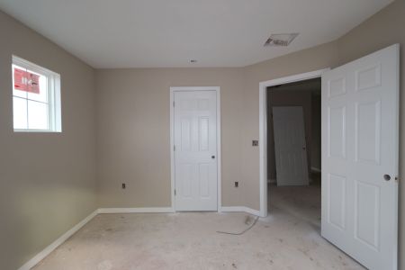 New construction Single-Family house 38326 Tobiano Loop, Dade City, FL 33525 Casanova- photo 84 84