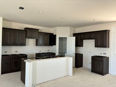 New construction Single-Family house 1170 Cr 200, Valley View, TX 76272 Caddo- photo 25 25