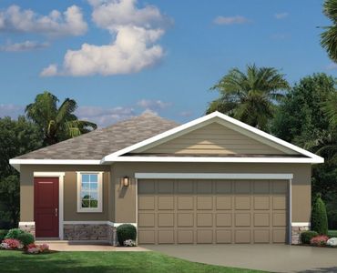 New construction Single-Family house Wimauma, FL 33598 - photo 0