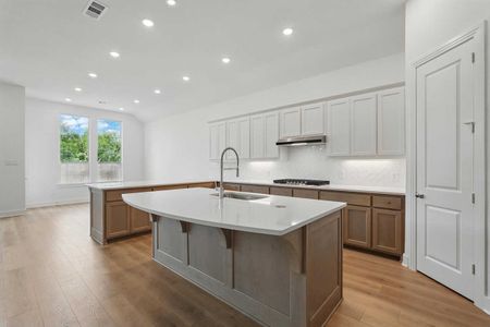New construction Single-Family house Van Alstyne, TX 75009 plan Chesterfield - image 4