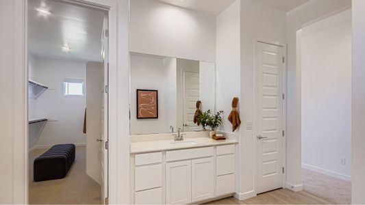 Western Garden: Destiny 6