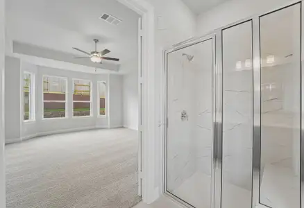 New construction Single-Family house 5151 Silverbell Ln, Montgomery, TX 77316 plan 5019 Elevation D - image 14