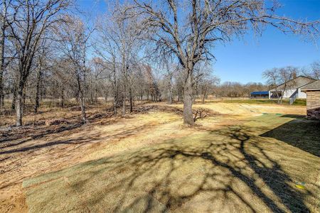 New construction Single-Family house 4020 Conejo Ct, Poolville, TX 76487 Plan Unknown- photo 37 37