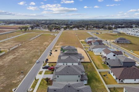 New construction Single-Family house 38433 Pindos Dr, Dade City, FL 33525 Mira Lago- photo 172 172