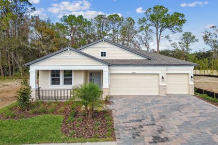 New construction Single-Family house 20219 Oriana Loop, Land O' Lakes, FL 34638 Corina  III- photo 105 105