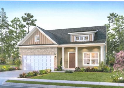 New construction Single-Family house 372 Young Town Cir, Orangeburg, SC 29118 - image