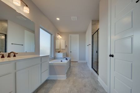 New construction Single-Family house 113 Annette Dr, Castroville, TX 78009 plan Barnett - image