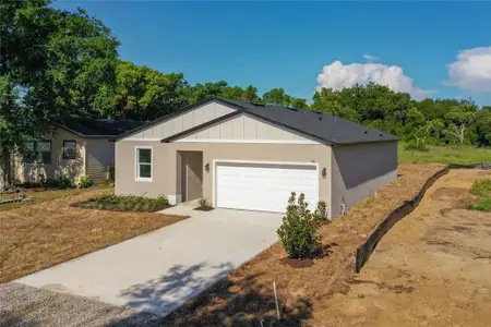 New construction Single-Family house 110 Fruitwood Ave, Eustis, FL 32726 - image