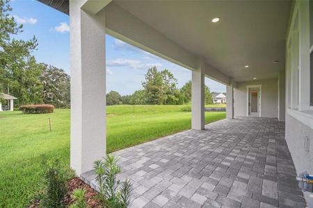 New construction Single-Family house 19395 Sheltered Hill Dr, Brooksville, FL 34601 Sawgrass- photo 55 55