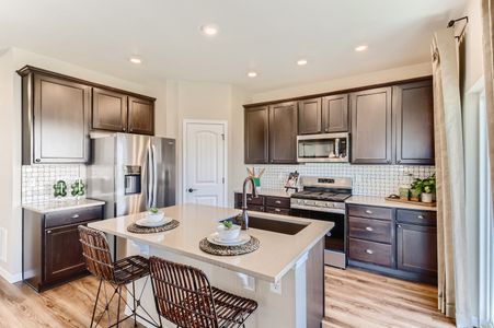 New construction Single-Family house 17915 Herrera Dr, Parker, CO 80134 null- photo 12 12