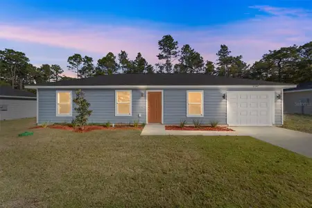New construction Single-Family house 14668 Se 33Rd Ter, Summerfield, FL 34491 plan Aleida - image