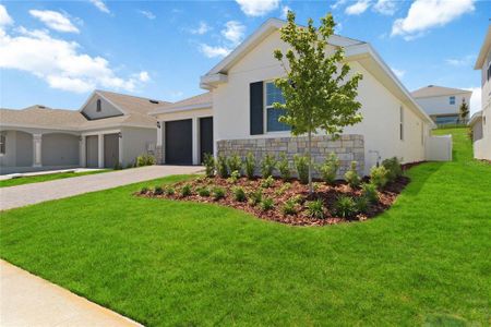 New construction Single-Family house 1683 Cadence St, Clermont, FL 34715 plan Anna Maria - image