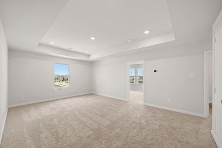 New construction Single-Family house 23606 Zinfandel Dr, Alvin, TX 77511 plan Savannah - image 12