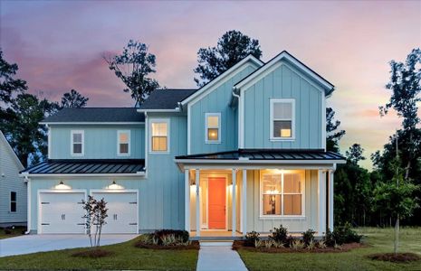 New construction Single-Family house 170 Loblolly Ln, Richmond Hill, GA 31324 plan Waterstone - image