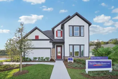 New construction Single-Family house 6104 Sacred Oak Ave, Mount Dora, FL 32757 plan The Edie - image