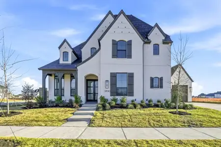 New construction Single-Family house 3700 Meander Wy, Celina, TX 75078 plan Varese - image