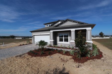 New construction Single-Family house 38357 Palomino Dr, Dade City, FL 33525 Picasso Bonus- photo 16 16