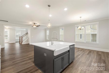 New construction Single-Family house 259 Luray Wy, Unit 443, Rock Hill, SC 29730 - image 6