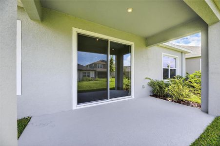 New construction Single-Family house 6218 Hidden Branch Dr, Apollo Beach, FL 33572 plan Brighton 3.0 - image 19