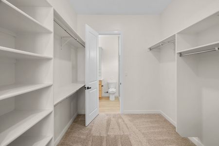 New construction Single-Family house 1819 Big Four Pl, El Paso, TX 79928 plan Pebble Beach - image 11