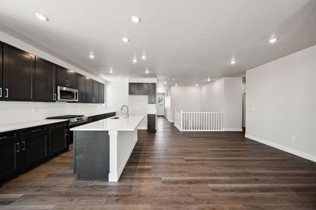 New construction Duplex house 16447 Lone Wolf Pl, Parker, CO 80134 plan 1 - image 8