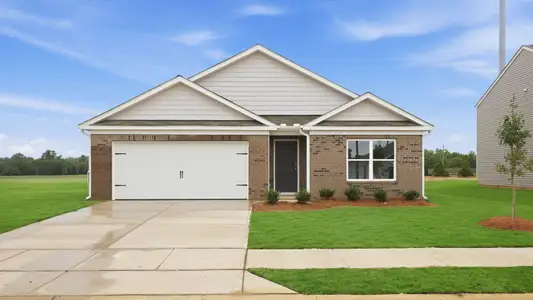 New construction Single-Family house 4805 Martha Wynd Wy, Farmville, NC 27828 plan Cali - Express - image