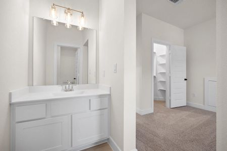 New construction Single-Family house 1101 Rock Daisy Trl, Hutto, TX 78634 plan The Dalton - image 10