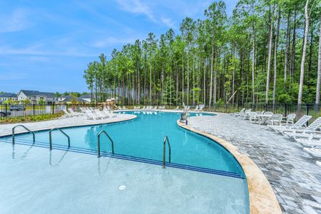 New construction Single-Family house 476 Rowley Lane, Summerville, SC 29486 Nantahala- photo 51 51