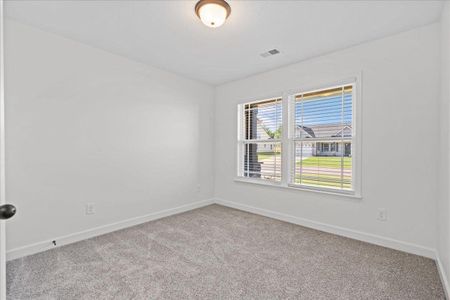 New construction Single-Family house 528 Adventure Isla Wy, Campobello, SC 29322 - image 15