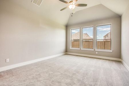 New construction Single-Family house 1514 Emerald Bay Ln, St. Paul, TX 75098 null- photo 10 10