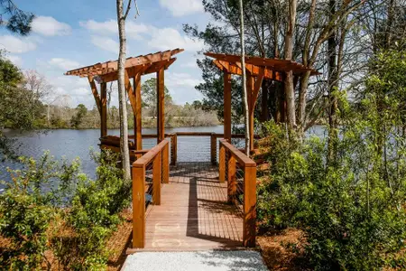 New construction Single-Family house 1439 Clay Field Trl, Summerville, SC 29485 ELLIOT- photo 19 19