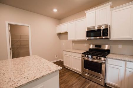 New construction Single-Family house 3844 Ball Ground Hwy, Canton, GA 30114 plan Turnbridge - image 7