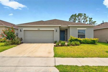 New construction Single-Family house 33960 Sky Blossom Cir, Leesburg, FL 34788 null- photo 0