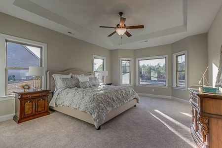 New construction Single-Family house Sharpsburg, GA 30277 plan Dresden - image 19