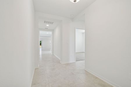 New construction Single-Family house 4964 Meadow Bay Ct, Wimauma, FL 33598 plan 4964 Meadow Bay Court - image 18