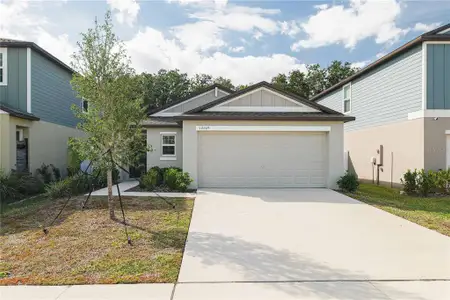 New construction Single-Family house 12609 Maple Bonsai Dr, Riverview, FL 33579 plan Annapolis - image
