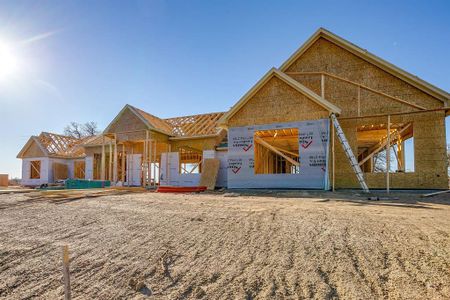New construction Single-Family house 657 S Sugartree Dr, Lipan, TX 76462 - image