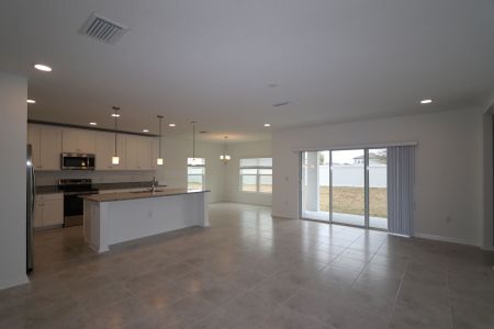 New construction Single-Family house 38350 Tobiano Loop, Dade City, FL 33525 Cabo- photo 134 134