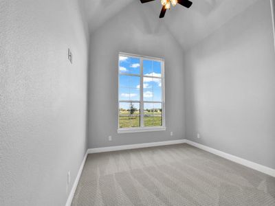 New construction Single-Family house 477 Royal Santana Run, Brock, TX 76087 - photo 12 12