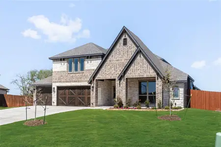 New construction Single-Family house 603 Polaris Ln, Waxahachie, TX 75165 plan Carolina IV - image