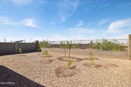 New construction Single-Family house 5450 S 253Rd Ln, Buckeye, AZ 85326 Mockingbird- photo 45 45