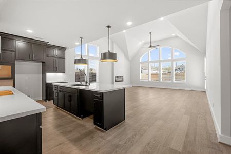 Huge Island overlooking the Family Room