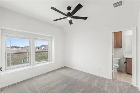 New construction Single-Family house 917 Firewood Way, Anna, TX 75409 null- photo 29 29