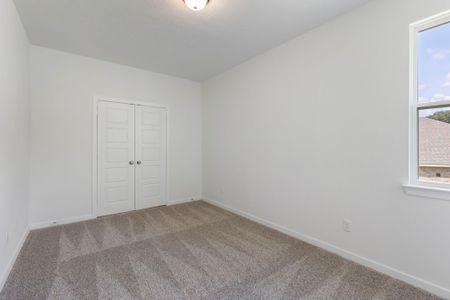 New construction Single-Family house 3718 Youpon Ln, Huntsville, TX 77340 plan The 2516 - image 19