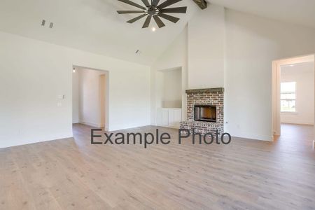 New construction Single-Family house 561 Royal Santana Run, Weatherford, TX 76087 plan The San Antonio - image 17