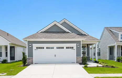 New construction Single-Family house 4169 Yellow Flag Iris St, Leland, NC 28479 plan Contour - image