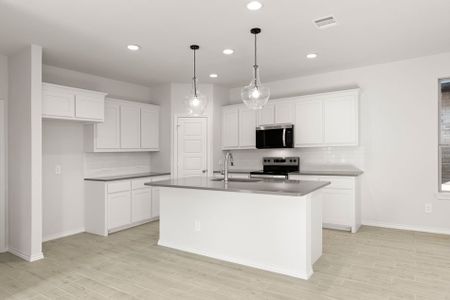 New construction Single-Family house 1620 Macadamia Ct, Aubrey, TX 76227 plan Maple - image 6