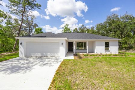 New construction Single-Family house 445 Malauka Lp, Ocklawaha, FL 32179 plan Lynette  - image