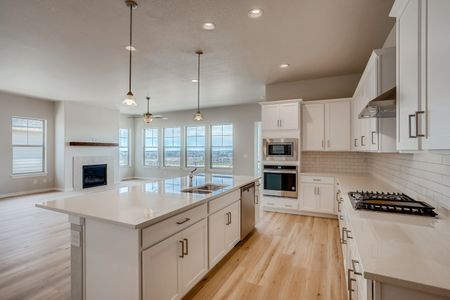 New construction Single-Family house 8405 S Winnipeg Ct, Aurora, CO 80016 null- photo 9 9